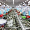 Thủy sản Minh Phú (MPC) báo lãi quý I/2026 đạt 214,6 tỷ đồng, gấp 12 lần cùng kỳ
