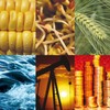 Thị trường hàng hóa thế giới tuần từ 16-23/5: Vàng giảm tuần thứ 2 liên tục, dầu thô cũng mất hơn 5%