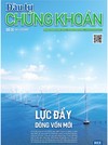 Báo Đầu tư Chứng khoán số 31