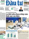 Báo Đầu tư số 146