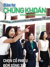 Báo Đầu tư Chứng khoán số 53