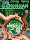  Báo Đầu tư Chứng khoán số 11