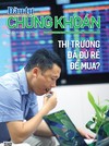 Báo Đầu tư Chứng khoán số 23