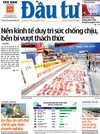 Báo Đầu tư số 45