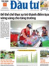 Báo Đầu tư số 75