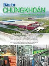 Báo Đầu tư Chứng khoán số 41