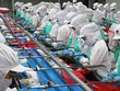 MPC tăng vốn lên 2.000 tỷ đồng, chuẩn bị trở lại sàn HOSE