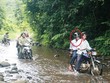 Bắt khẩn cấp nguyên Giám đốc Ban quản lý Rừng phòng hộ Sông Tranh