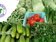 Vi phạm hàng loạt lỗi, Tổng công ty Rau quả Nông sản (Vegetexco) bị phạt hơn nửa tỷ đồng