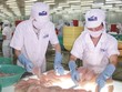 Hùng Vương (HVG) thoái vốn tại 2 công ty con