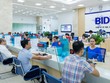 BIDV phát hành hơn 603,3 triệu cổ phiếu cho ngân hàng Hàn Quốc với giá hơn 20.295 tỷ đồng