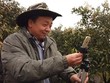 Nông dân Trung Quốc đua nhau làm streamer, kiếm 2,65 tỷ USD/năm