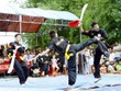 Bình Định nghiên cứu xây dựng Trung tâm Võ thuật cổ truyền