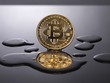 Sự hâm mộ cuồng nhiệt Bitcoin phai nhạt