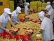 9 tháng, Safoco (SAF) sắp cán đích lợi nhuận năm