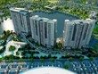 DIC Corp (DIG) chốt danh sách cổ đông phát hành gần 48 triệu cổ phiếu