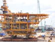 Năm 2019, PVS duy trì mức chia cổ tức 7% bằng tiền mặt