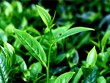 Cổ phiếu cần quan tâm ngày 10/9