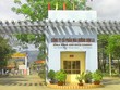 Mía đường Sơn La (SLS) chi gần 50 tỷ đồng trả cổ tức năm 2018-2019, tỷ lệ 50%