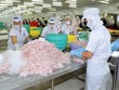 Kinh doanh bết bát, Thủy sản Hùng Vương (HVG) muốn bán hết 5 triệu cổ phiếu quỹ