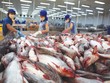 Hai lãnh đạo doanh nghiệp bị xử phạt chứng khoán do lỗi giao dịch cổ phiếu LBM và HVG