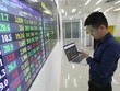 Big_trends: Không hoảng loạn trong bất cứ biến động thất thường nào của thị trường