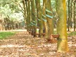 Cổ phiếu cần quan tâm ngày 27/10