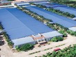 Hạ tầng Vĩnh Phúc (IDV) chốt danh sách cổ đông tạm ứng cổ tức 10% bằng tiền