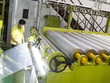 Rạng Đông Holding (RDP) trả cổ tức 10% bằng cổ phiếu và tổ chức đại hội bất thường