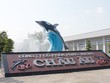 Hùng Vương (HVG): Ủy viên HĐQT muốn mua hơn 56,5 triệu cổ phiếu