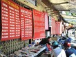 Dân đầu cơ săn “hàng”, SIM số đẹp 11 số sẽ tăng giá gấp 4 đến 5 lần