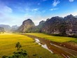 Mùa vàng Tam Cốc dịu đẹp trong ảnh check-in của khách Tây