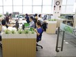 Tổng giám đốc GTN đăng ký bán hết cổ phiếu