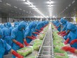 Vĩnh Hoàn (VHC) muốn bán hết cổ phiếu quỹ