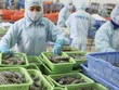 Dự báo xuất khẩu thủy sản tăng mạnh vào cuối năm