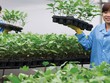 Sau tăng trưởng nóng, Nafoods đang dần “đuối“?