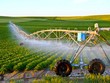 Đưa nông nghiệp sản xuất theo hướng công nghiệp