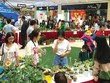 Dịch vụ Tổng hợp Sài Gòn (SVC) dự kiến lợi nhuận năm 2019 giảm 17%