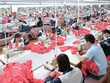 Vướng mắc trong thu hồi nợ bảo hiểm xã hội