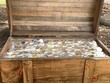 Công ty chôn kho báu đầy vàng, bạc trị giá 2,3 tỷ đồng để mọi người săn lùng