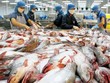 Cổ phiếu cá tra nổi sóng trước thông tin miễn thuế