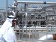 OPEC nhất trí gia hạn thỏa thuận cắt giảm sản lượng dầu
