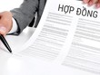Rắc rối chuyện dùng bản chào bảo hiểm thay thế hợp đồng