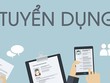 Tổng công ty cổ phần Bảo hiểm Petrolimex thông báo tuyển dụng