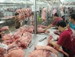Liên tục tăng cao, giá thịt lợn vọt lên mức kỷ lục