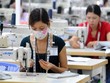 Đề xuất đóng bảo hiểm tự nguyện 10 năm được hưởng lương hưu