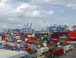 Việt Nam vẫn tiếp tục duy trì xuất siêu sang Israel với trị giá lớn