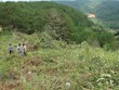Đắk Nông: Phạt tù nguyên Phó chủ tịch UBND huyện Tuy Đức