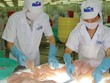 Thua lỗ đeo bám HVG, HNG, PVX, DTL, VIS