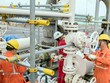 GAS đối diện khả năng chịu thiệt hại tại dự án Nam Côn Sơn 2